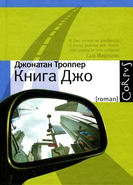 Джонатан Троппер Книга Джо обложка книги