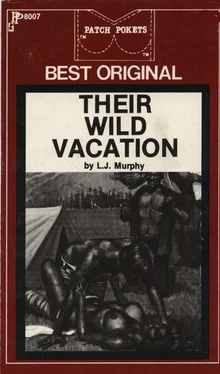 L Murphy Their wild vacation обложка книги