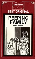 J Bradley - Peeping family