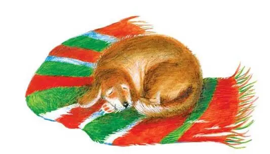 Оля кончила читать и закрыла книжку Все молчали Настя закусила нижнюю губу - фото 14