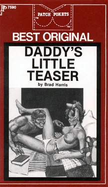 Brad Harris Daddy_s little teaser обложка книги