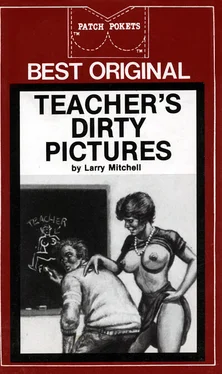 Larry Mitchell Teacher_s dirty pictures обложка книги