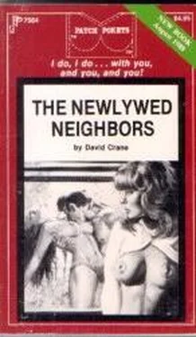 David Crane The newlywed neighbors обложка книги