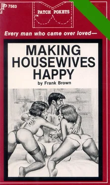 Frank Brown Making housewives happy обложка книги