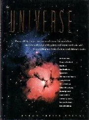 Connie Willis - Schwarzschild Radius