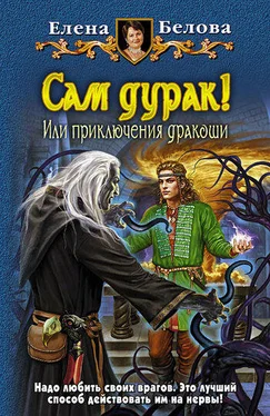 Елена Белова Сам дурак! или Приключения дракоши обложка книги
