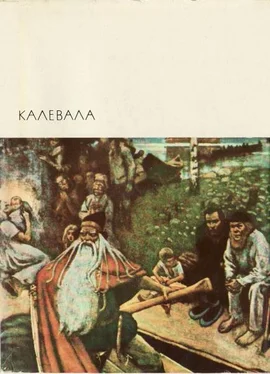 Автор неизвестен - Эпосы, мифы, легенды и сказания Калевала обложка книги