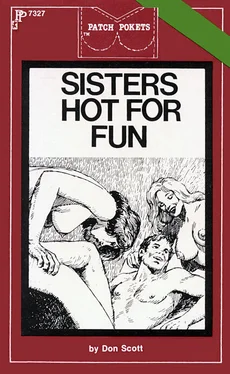 Don Scott Sisters hot for fun обложка книги