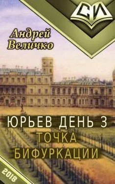 Андрей Величко Точка бифуркации обложка книги