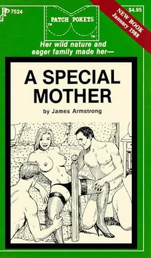 James Armstrong A special mother обложка книги