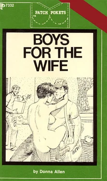 Donna Allen Boys for the wife обложка книги