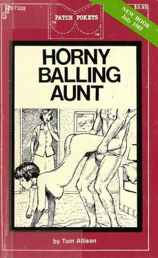 Tom Allison Horny balling aunt обложка книги