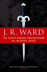 Дж. Уорд - The Black Dagger Brotherhood - An Insider's Guide