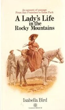 Isabella Bird A Lady’s Life in the Rocky Mountains обложка книги