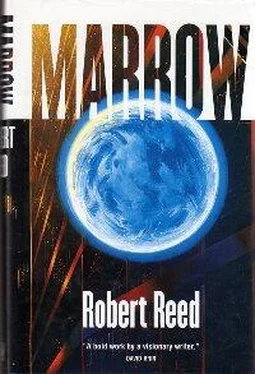 Robert Reed Marrow обложка книги