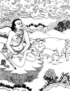 maha Natha обложка книги
