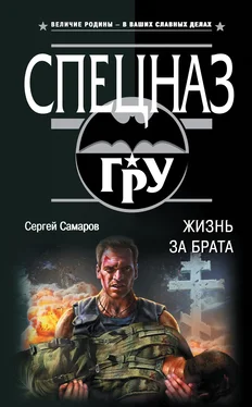 Сергей Самаров Жизнь за брата обложка книги