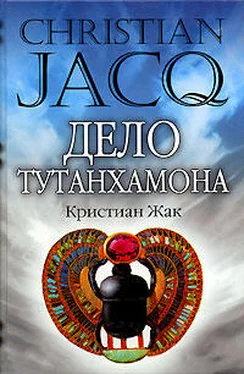 Кристиан Жак Дело Тутанхамона обложка книги