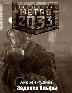 Андрей Руднёв Метро 2033: Задание Альфы обложка книги