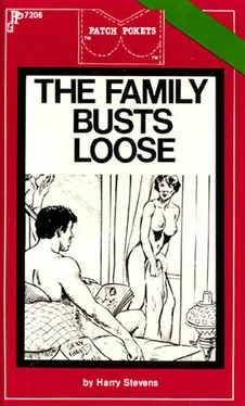 Harry Stevens The family busts loose обложка книги