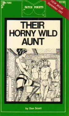 Don Scott Their horny wild aunt обложка книги