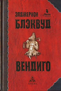 Элджернон Блэквуд Человек, который был Миллиганом обложка книги