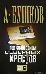 Александр Бушков - Под созвездием северных ''Крестов''
