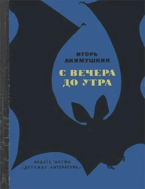 Игорь Акимушкин С вечера до утра обложка книги