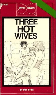 Don Scott Three hot wives обложка книги