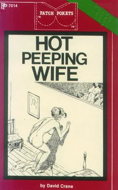 David Crane Hot peeping wife обложка книги