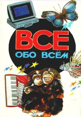 Аркадий Ликум Все обо всем. Том 2 обложка книги