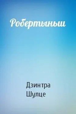 Дзинтра Шулце Робертыньш обложка книги