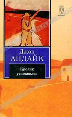 Джон Апдайк Кролик успокоился обложка книги