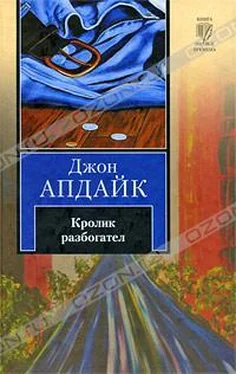 Джон Апдайк Кролик разбогател обложка книги