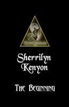 Шеррилин Кеньон The beginning обложка книги