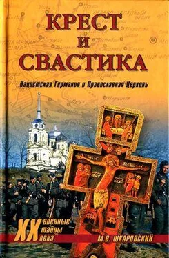 Михаил Шкаровский Крест и свастика. Нацистская Германия и Православная Церковь обложка книги