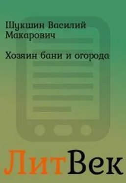 Василий Шукшин Хозяин бани и огорода обложка книги