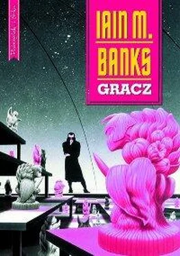 Iain Banks Gracz обложка книги