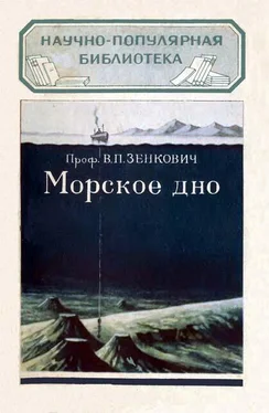 Всеволод Зенкович Морское дно обложка книги