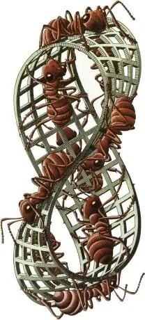 11 Douglas R Hofstadter Prelude Ant Fugue 15 Excerpt from Gödel Escher - фото 6