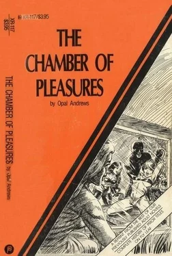 Opal Andrews The chamber of pleasures обложка книги