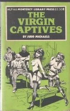 Judd Michaels The virgin captives обложка книги