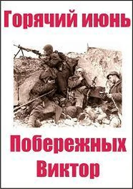 Виктор Побережных Горячий июнь обложка книги