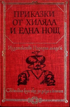 Йордан Милев Приключенията на Али Зайбак Каиреца обложка книги