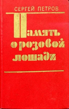 Сергей Петров Память о розовой лошади обложка книги