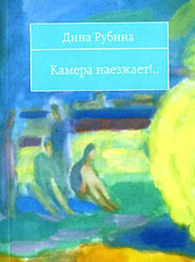 Дина Рубина Камера наезжает! (сборник) обложка книги