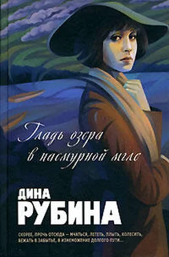 Дина Рубина Гладь озера в пасмурной мгле (сборник) обложка книги