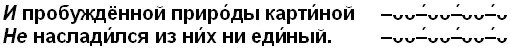 Трибрахиев в середине стиха классическая поэзия практически не знала Даже у - фото 5