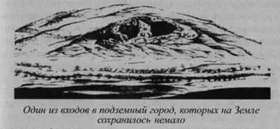 Как наши предки могли получать под землёй свет Светящиеся бактерии если их - фото 11