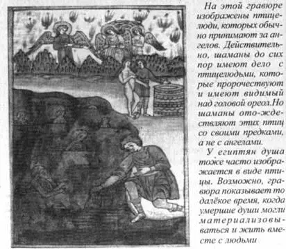 справедливо относят современные английские друиды в действительности были - фото 19